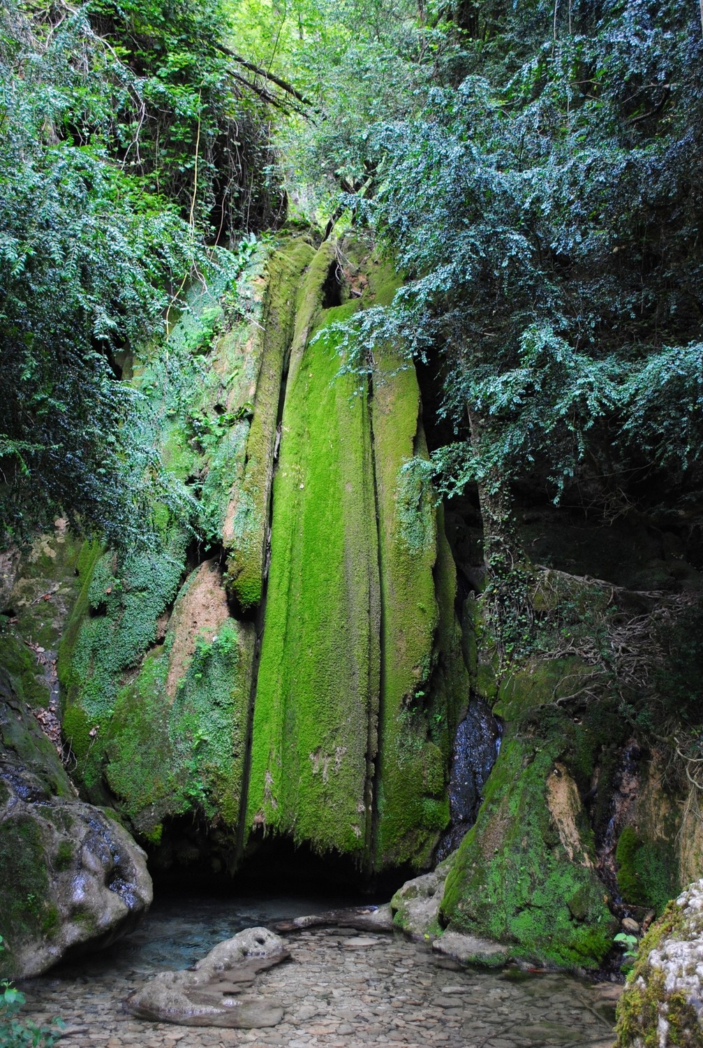 Les cascades pétrifiantes de (Roquefort-les-Cascades)