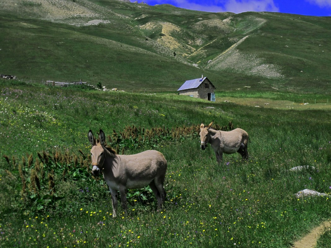 les habitants des Thures