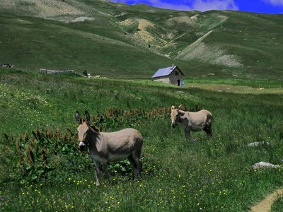 les habitants des Thures les habitants des Thures