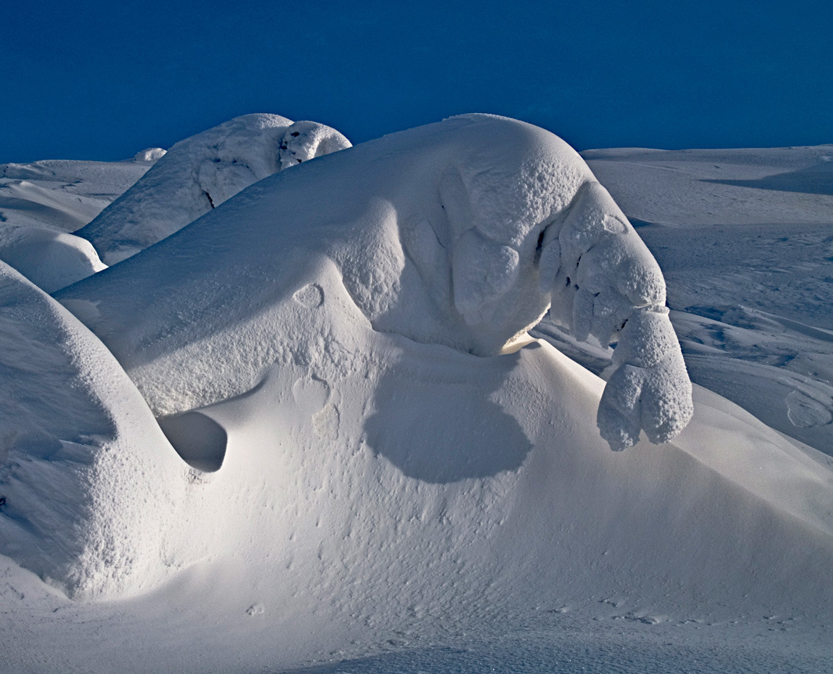 le monstre des neiges Whitepass Alaska
