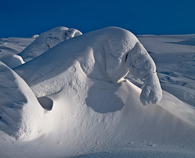 le monstre des neiges Whitepass Alaska le monstre des neiges Whitepass Alaska