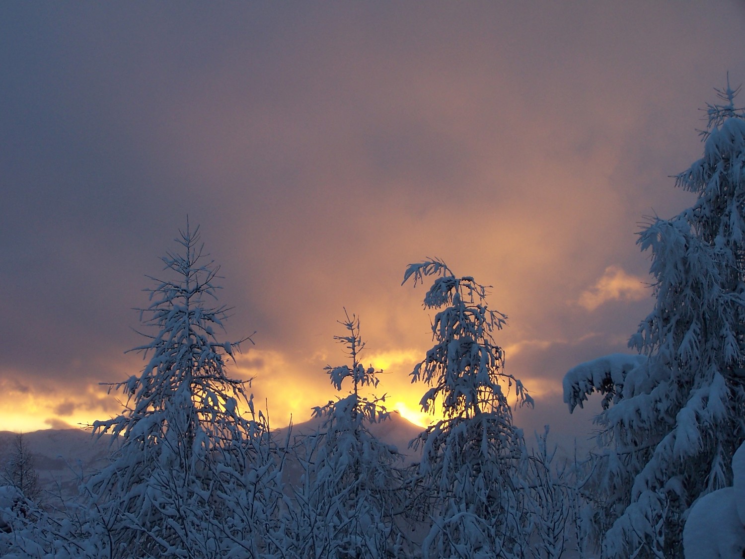 Feu en hiver