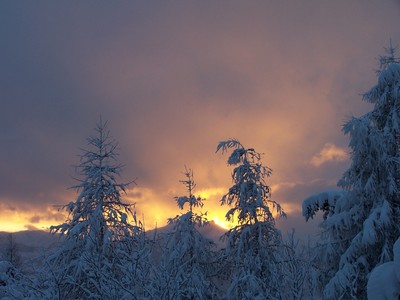 Feu en hiver Feu en hiver