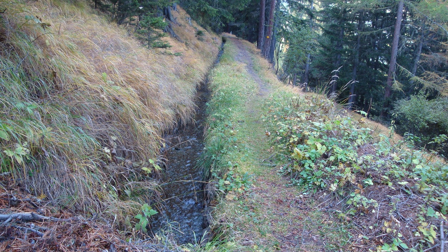 Bisse du haut