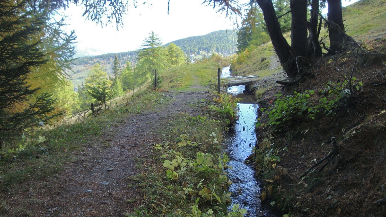 Alte suon