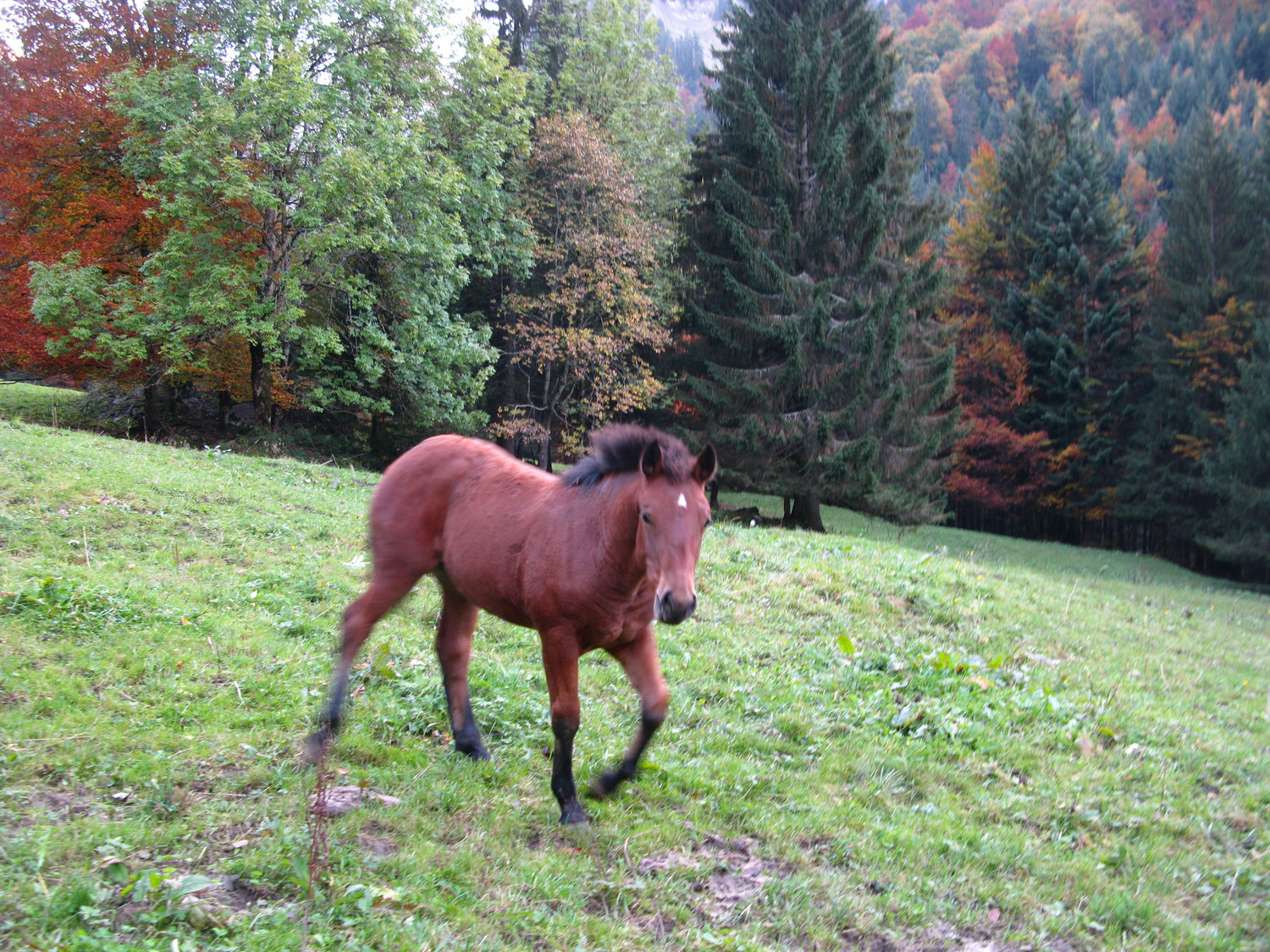 en aussi belle harmonie?