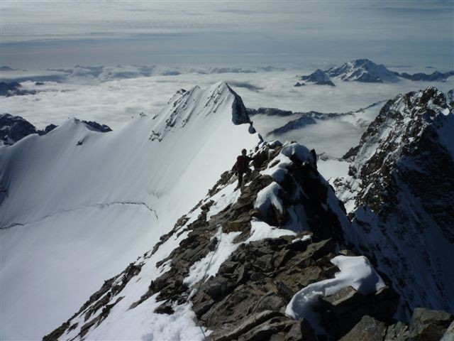 Piz Bernina: arête sud... et toujours pas de traces!