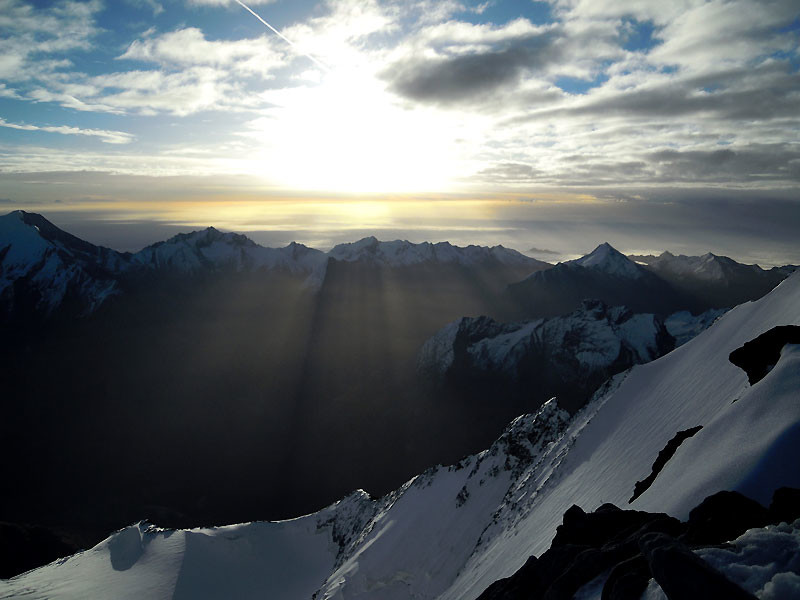 rayons