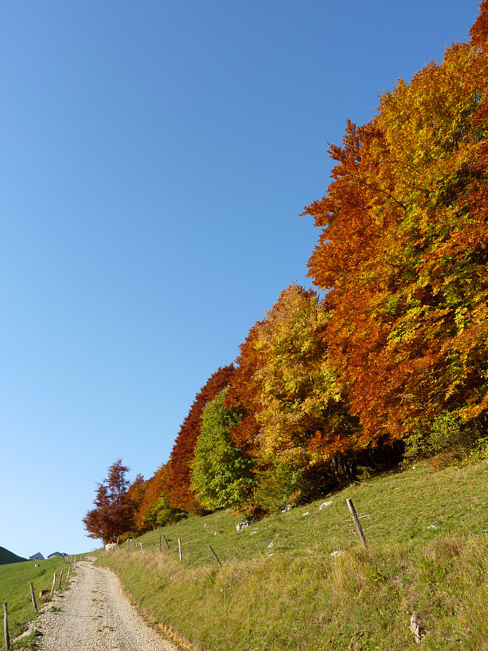 Vers les chalets du Sollier
