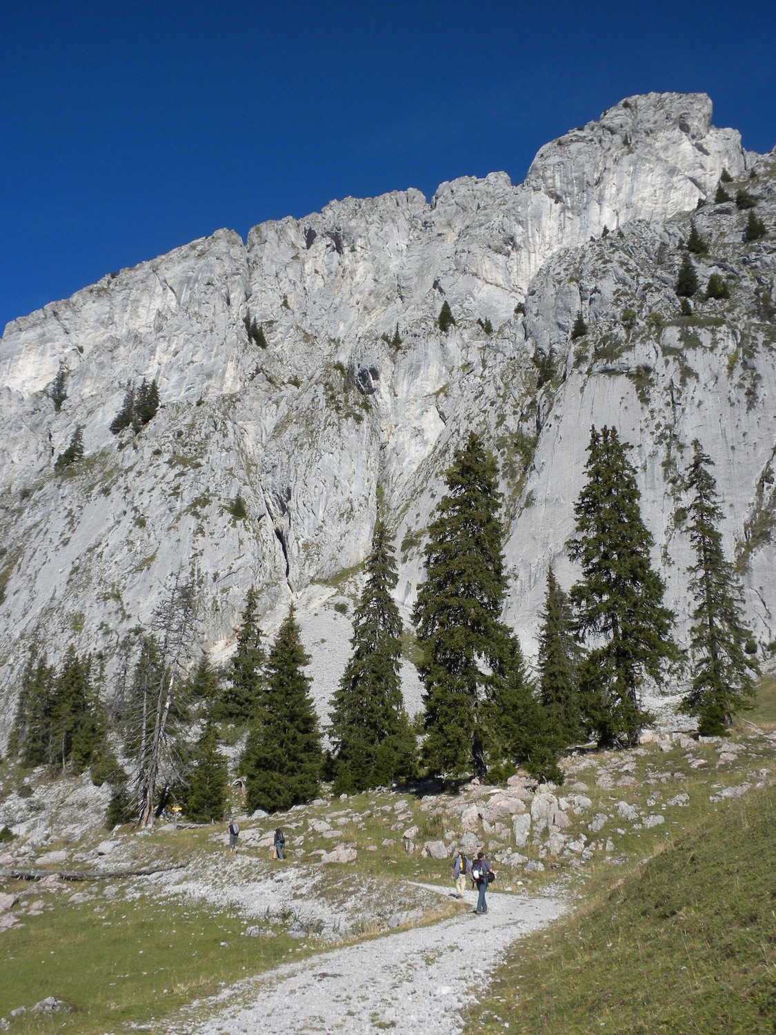 Montée à La Grande Orgue
