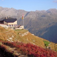 Cabane avec son jardin