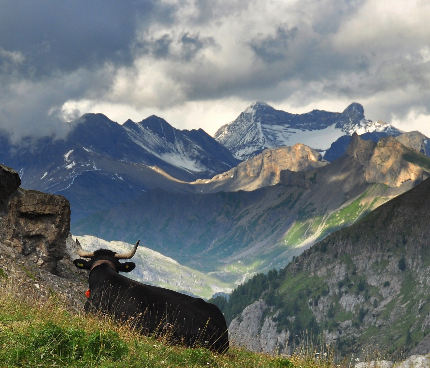 Regard vers Derborence