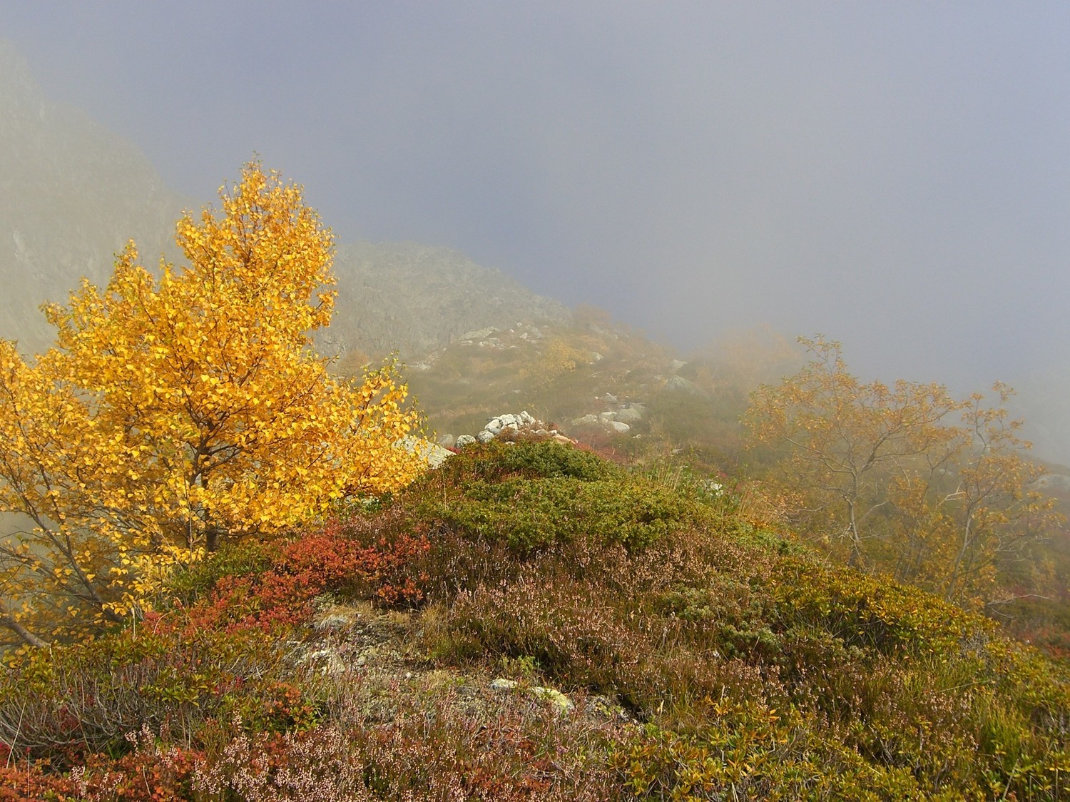 Aig Tour-La moraine