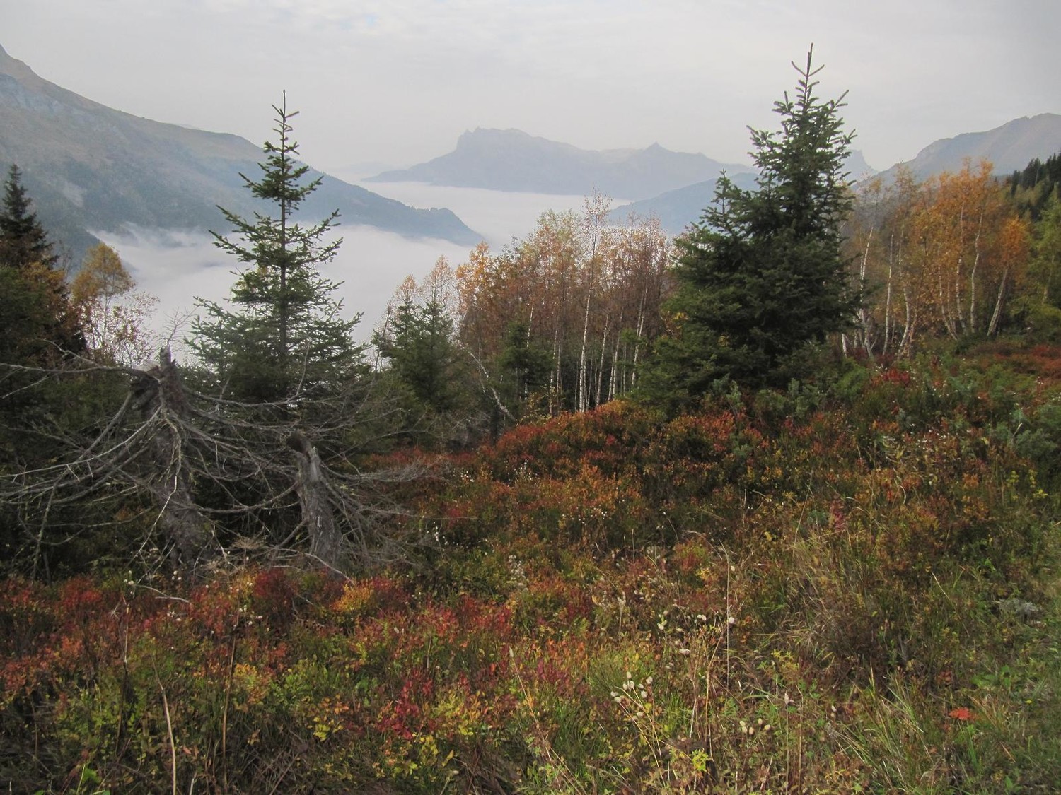 Magie d'Automne. Mer de nuage toute la journée, ca doit être bien gris dessous