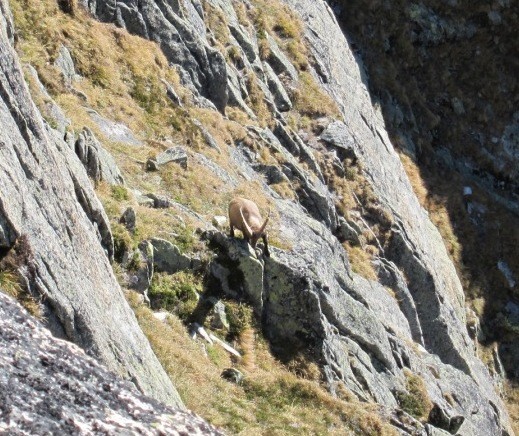 arête pas totalement "non fréquentée"