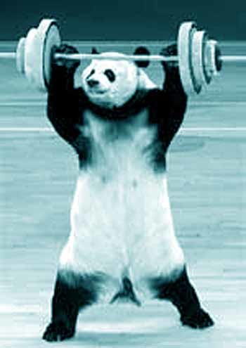 pandipanda