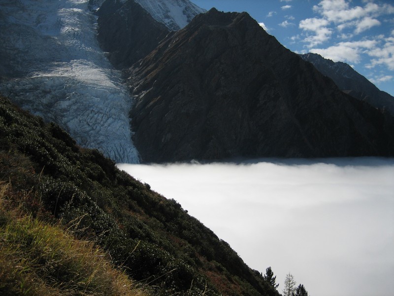 Retour dans la brume