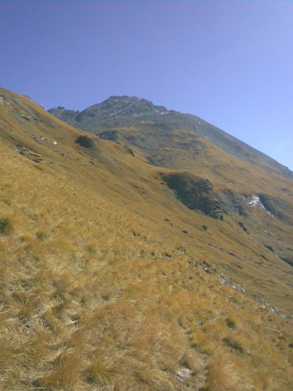 sur les pentes sud, au dessus du ruisseau du fond