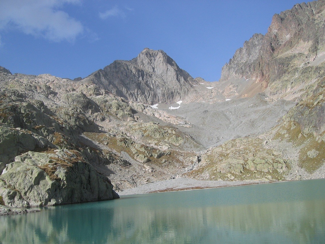 aig.&col Belvedere