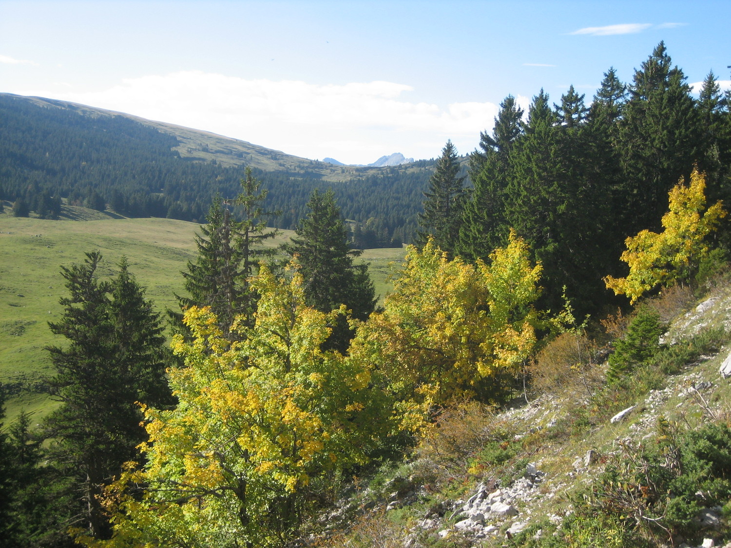 Couleurs d'automne
