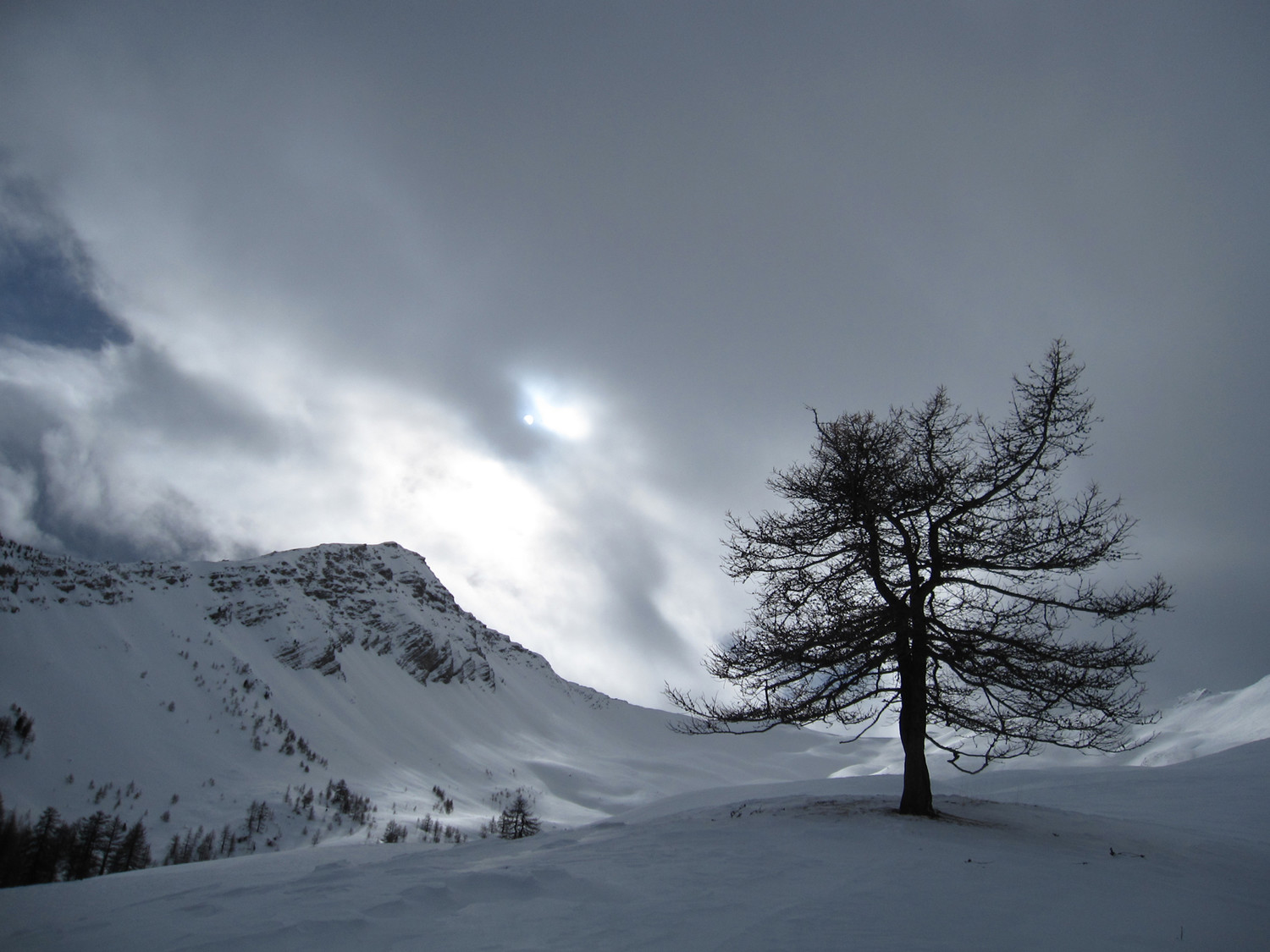 Grand moment de solitude