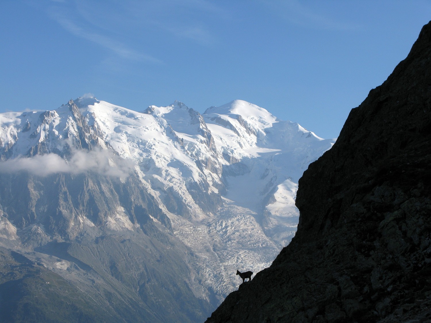 Mt Blanc depuis les Aiguilles Rouges + bonus