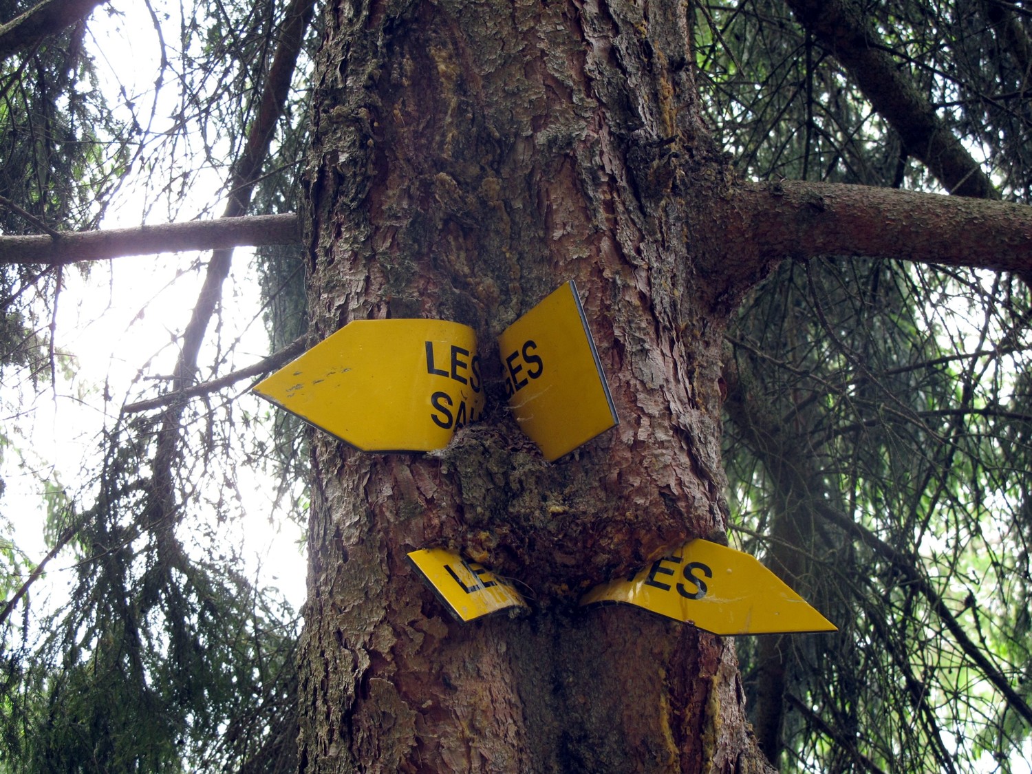 Quand la nature reprend ses droits