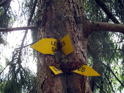Quand la nature reprend ses droits Quand la nature reprend ses droits