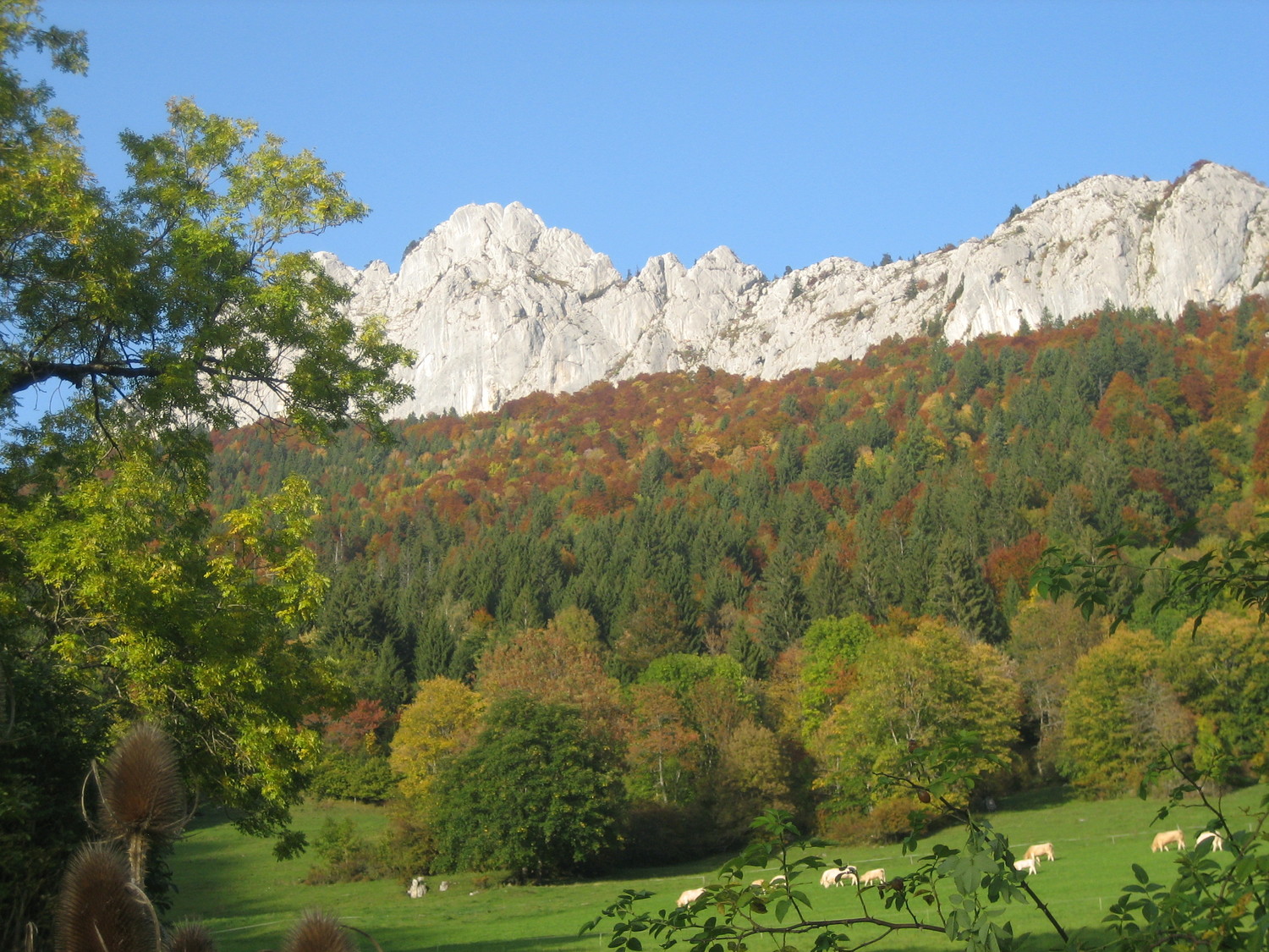 Roc des Boeufs : face W