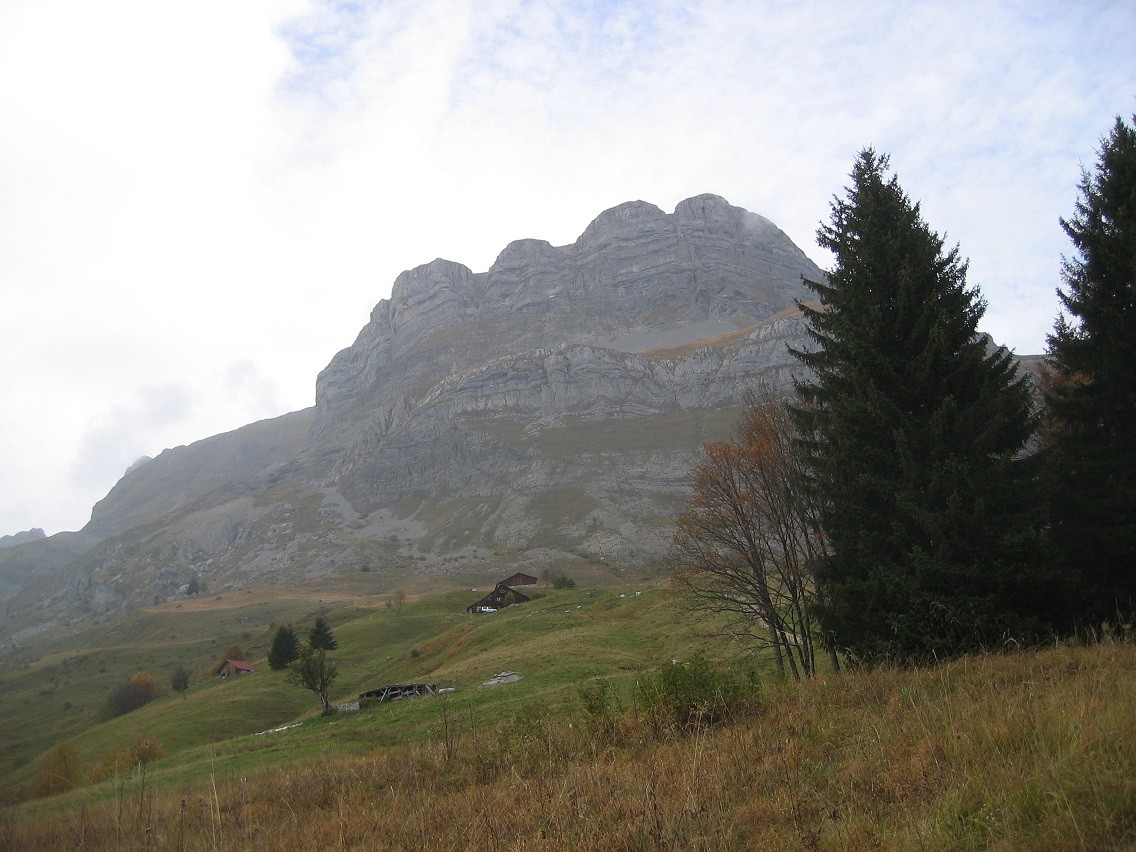 Quatres Têtes