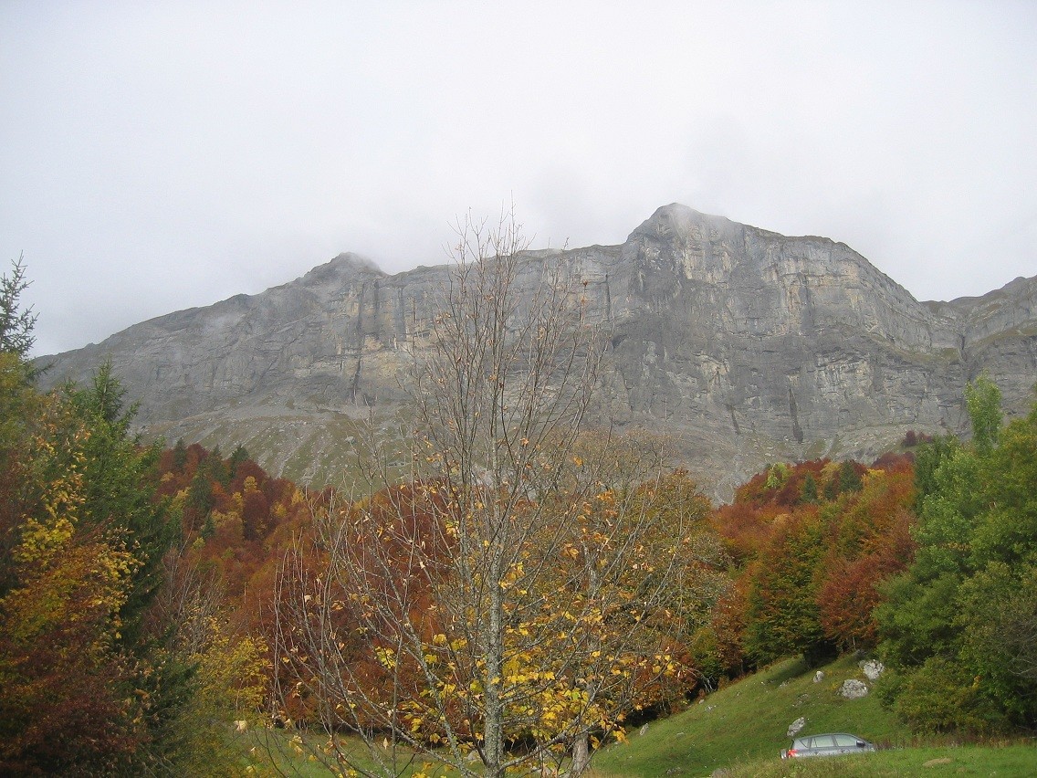 couleurs d'automne
