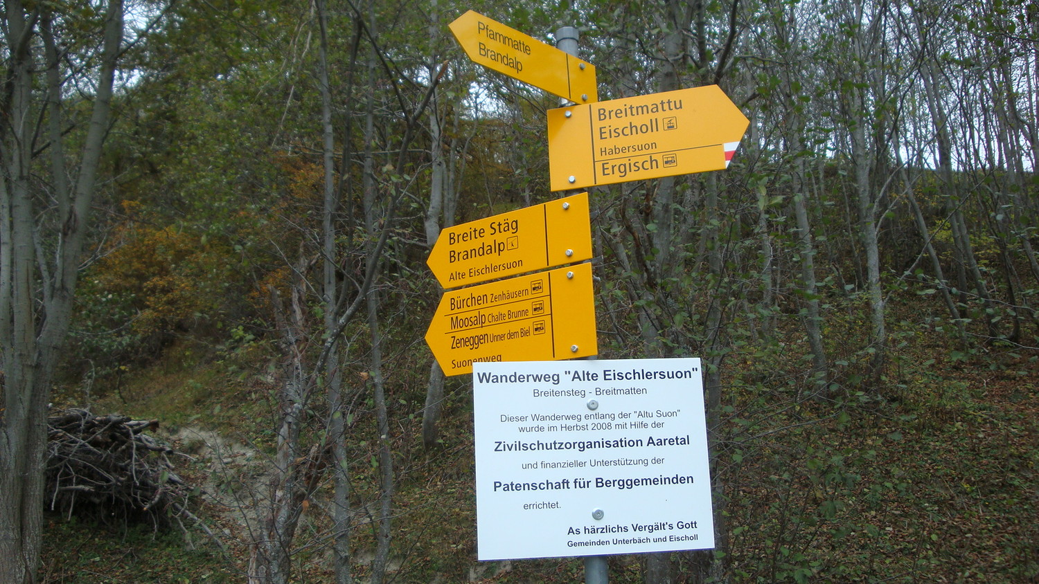 Alte Eischlersuon