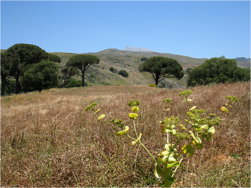 Mont Psiloritis