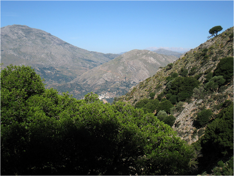 Montée au Psiloritis.