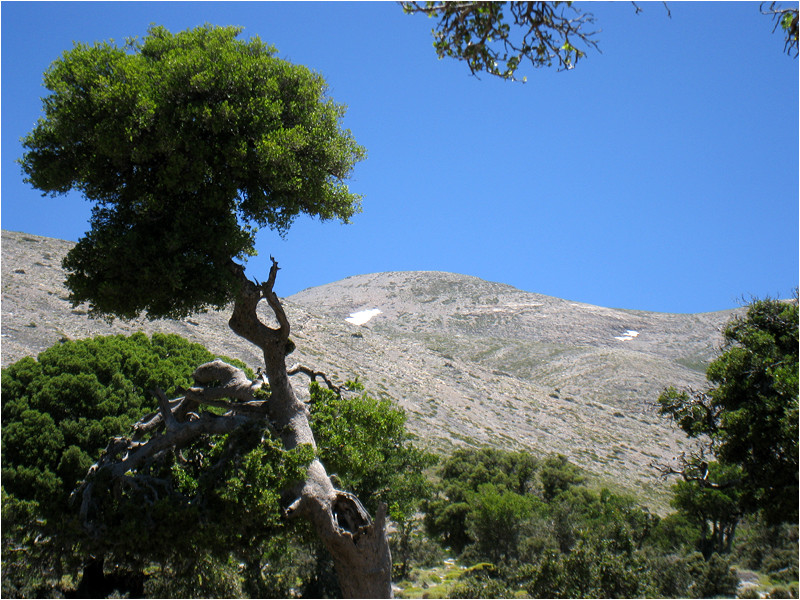 Montée au mont Psiloritis.