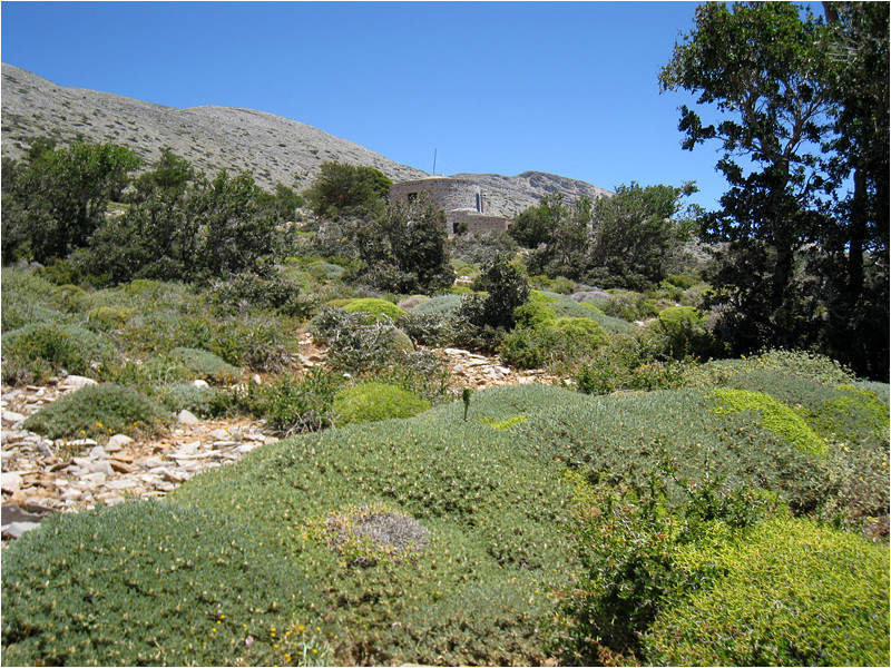 Refuge de Toubotos Prinos (1520m.)