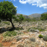 Lissos