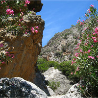 Lissos
