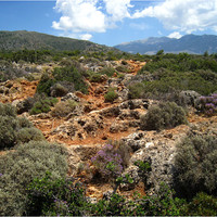 Lissos