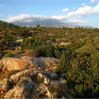Lissos