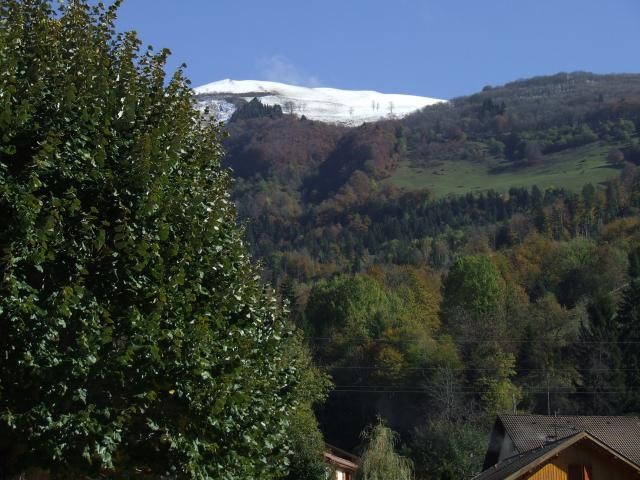 antecime depuis le Marais