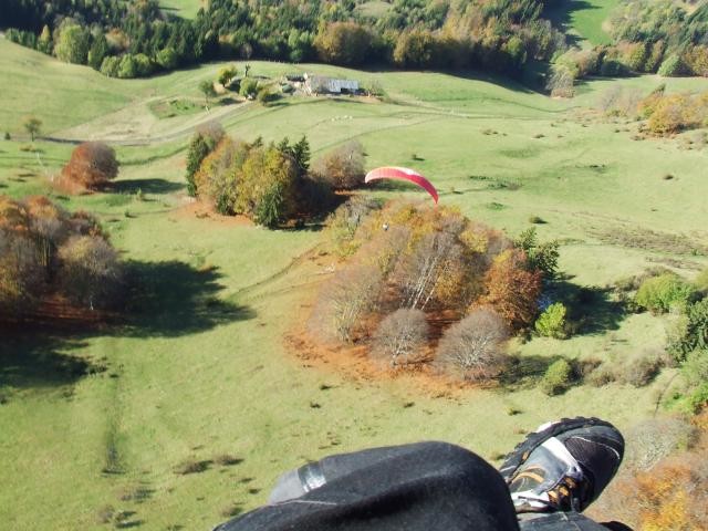 couleur d'automne