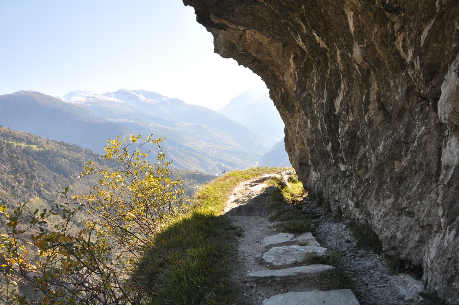 Niwärch