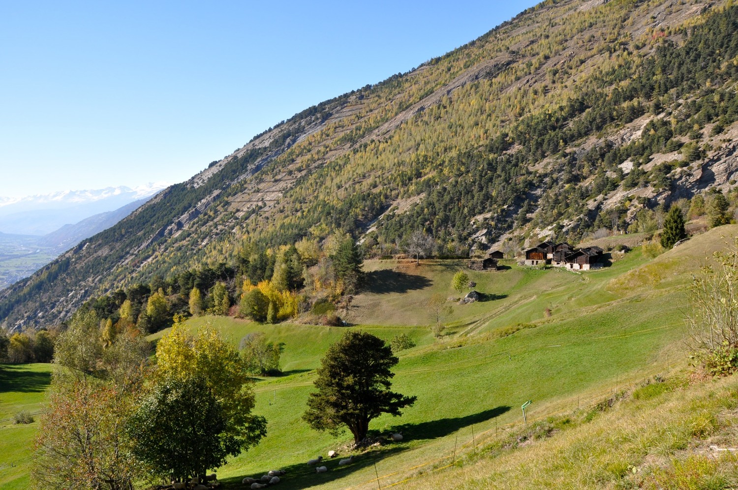 Millachra: fin du bisse
