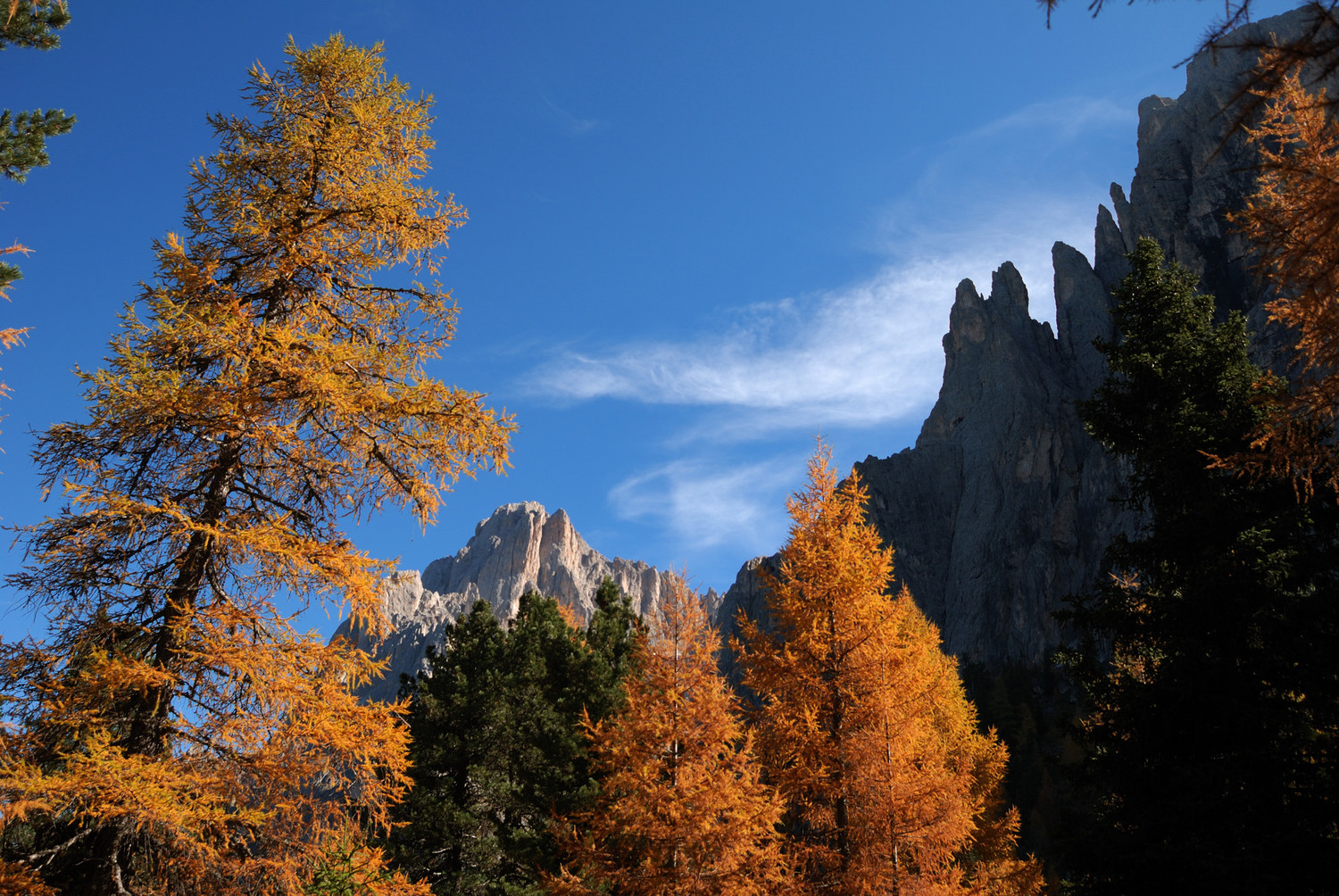 Sentier des Ladiner, Sassolungo