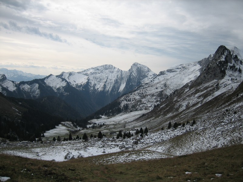 Vallon d'Orgeval