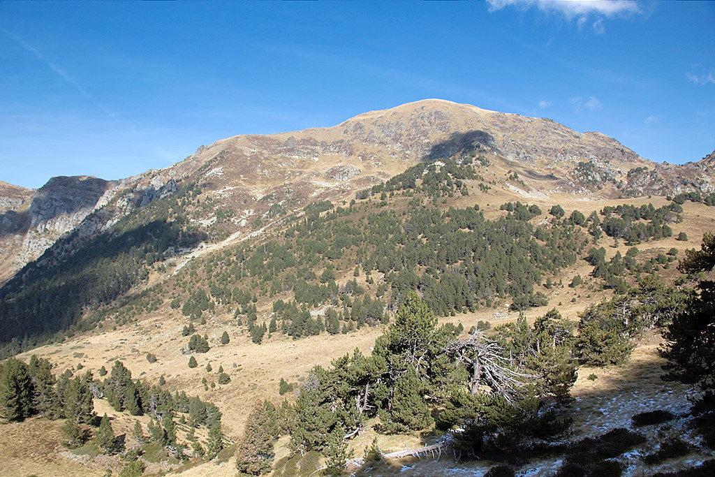 Montlude