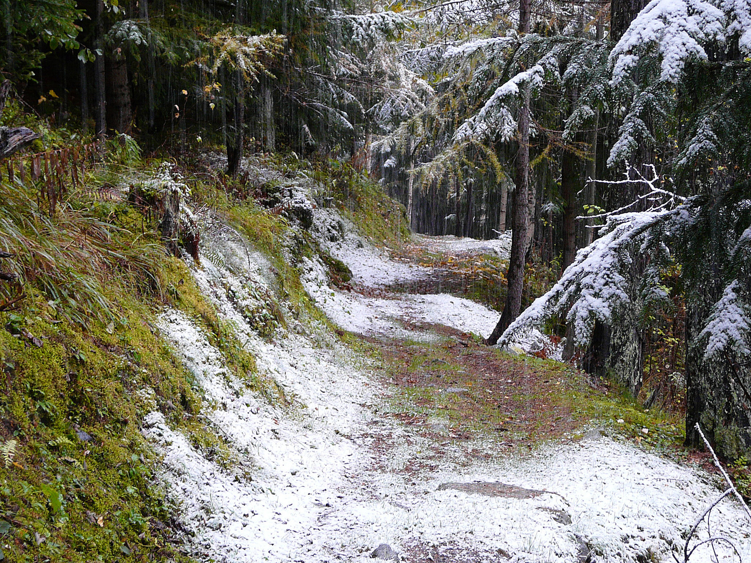 Première neige