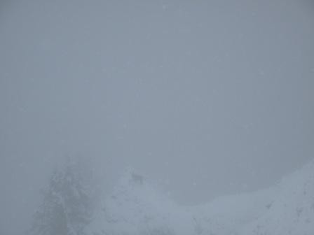 le 1er à chercher
