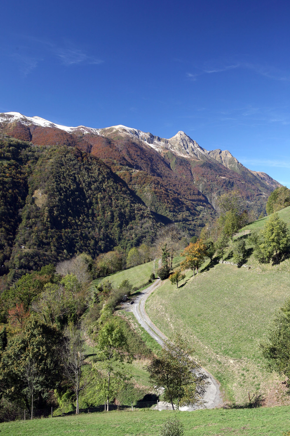 Crêtes du Viscos vues depuis Vizos